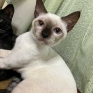 元気な女の子！