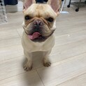 【ご応募多数により一度締めさせて頂きます】