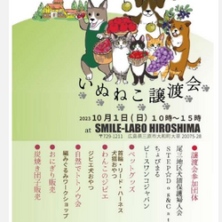 いぬねこ譲渡会