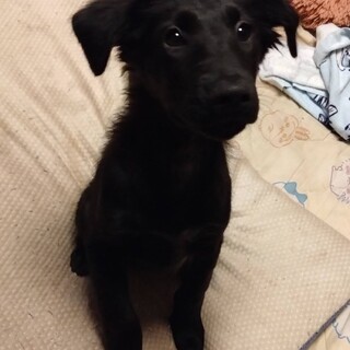 一旦ストップさせていただきます。