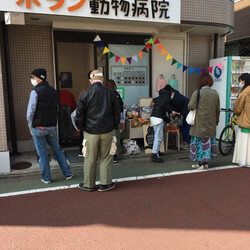 9/17(日)猫の譲渡会