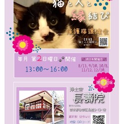 ★ 猫の譲渡会 in 蔵前 ★
