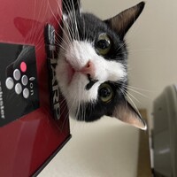 あき
