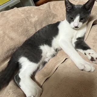 甘えん坊のマツ君