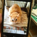 急募