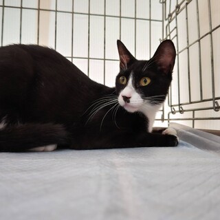 すりすりゴロゴロ甘えん坊な龍之介くん