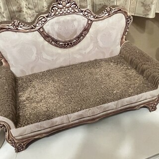 ペルシャ猫　6歳