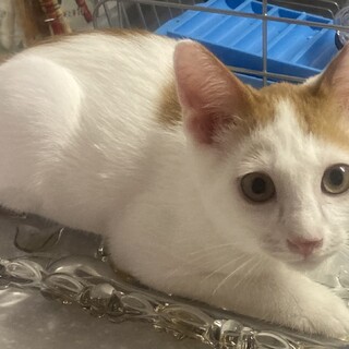 ありがとうございました