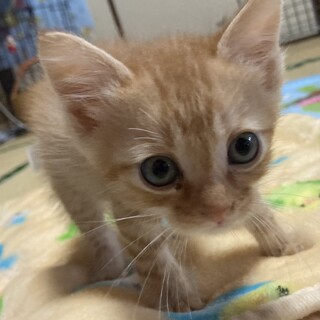 有難う御座いました