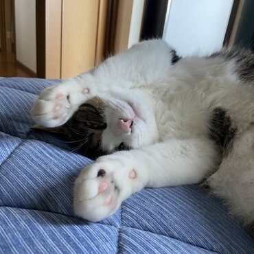 の写真
