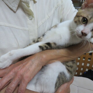 元気で人馴れした男の子