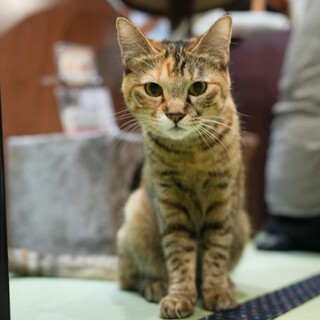 とっても甘えん坊でスリゴロなあきちゃん♪