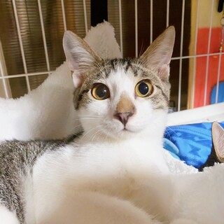 ෆ⃛元気いっぱいෆ⃛むさしくん