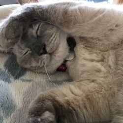 「本当にお久しぶりです」サムネイル2