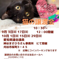 刈谷地域ねこの会　譲渡会