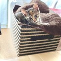 元気で可愛い子♡