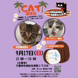 ねこの譲渡会 サムネイル1