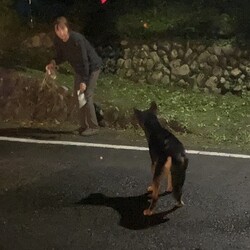 月夜ちゃん捕獲