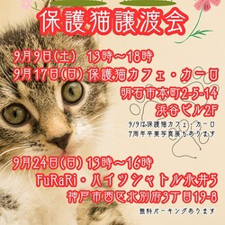 明石【譲渡会】猫まみれ with カーロ 第128回