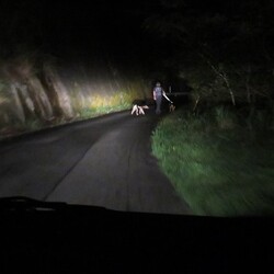 「星丸くん確保」サムネイル2