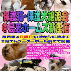 保護猫・保護犬譲渡会in新座