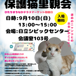 ひたちまちにゃか保護猫里親会