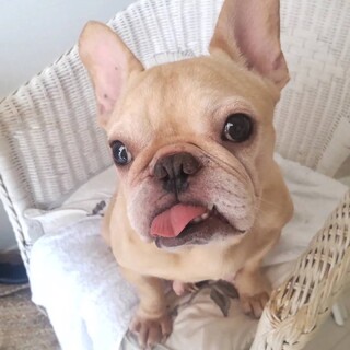 甘えん坊さんなエメちゃん☆推定５歳♀