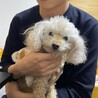 きのみぃ