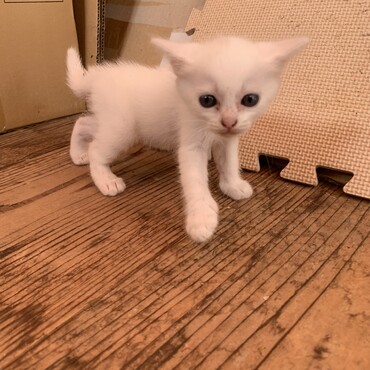 探索しているようです。(生後３周目)
