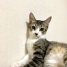 テンちゃん サムネイル7