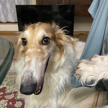 の写真