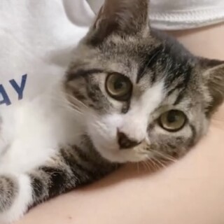 生後3ヶ月、とっても大人しい性格の琥珀くん