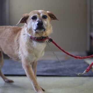 穏やかな【ちゅら】ちゃん