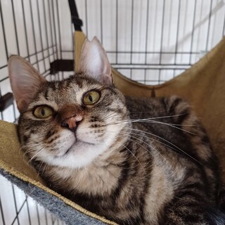 11/5西千葉ෆ⃛まん丸可愛いෆ⃛しじみちゃん