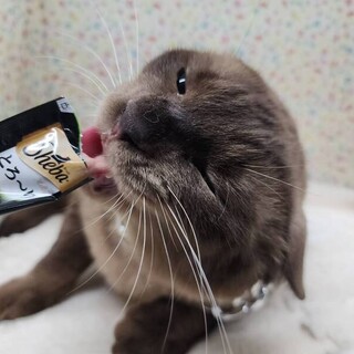 【9/3東日本橋】カワウソ顔の男の子♡大御所くん