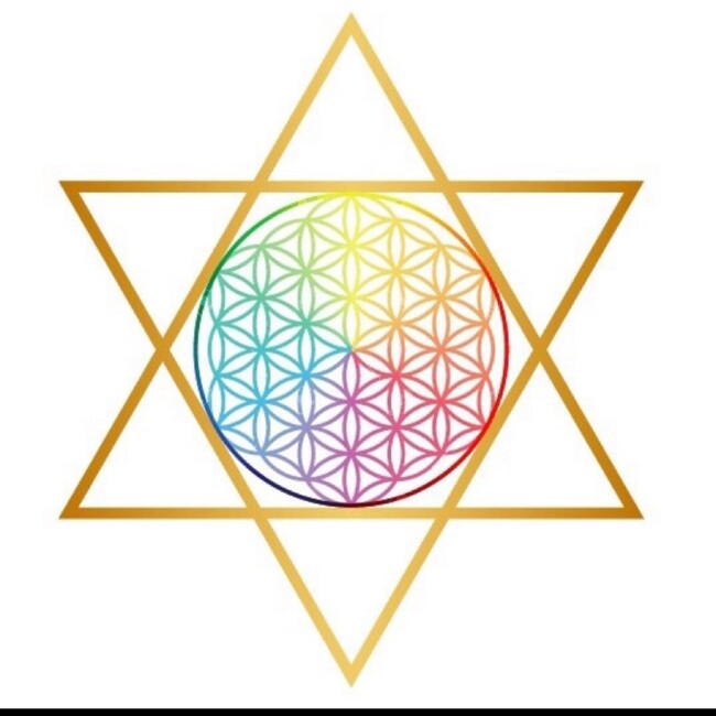 琴のカバー写真