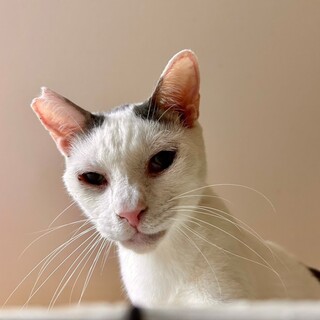 本当のマロ村君は甘えん坊さんです♡会いに来て下さい