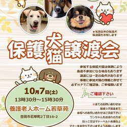 保護っ子基金　犬猫譲渡会 IN豊田市