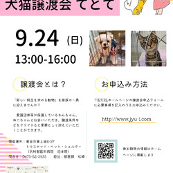 犬猫譲渡会「てとて」