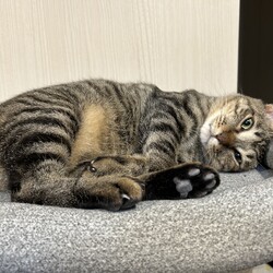 「8ヶ月が経ちました！」サムネイル2