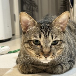 「8ヶ月が経ちました！」サムネイル3