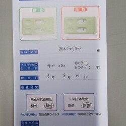 「レスキュー要請！！！」サムネイル2