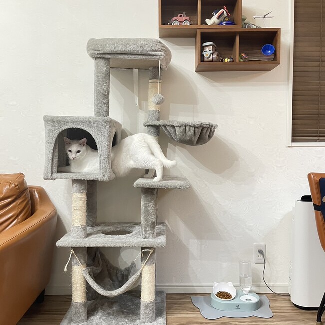 keaman917のカバー写真