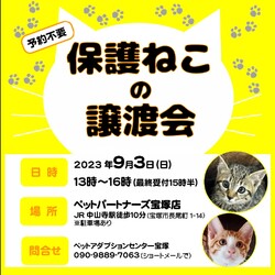 保護猫の譲渡会 in 宝塚