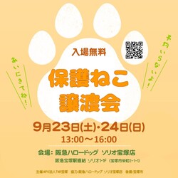 保護猫の譲渡会 in 宝塚