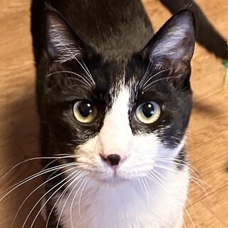 【9/3東日本橋】知性派甘えん坊代表 ♡ヨウイチ