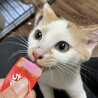 里親決定しました。 サムネイル2