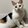 里親決定しました。 サムネイル3