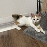 里親決定しました。 サムネイル5