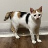 里親決定しました。 サムネイル6